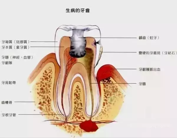 Y(ji)ʯ