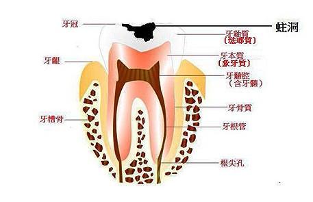 ׳F(xin)r(sh)İY