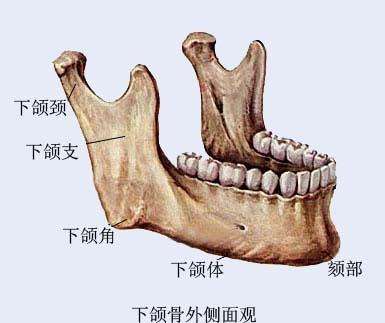 Mg(sh)LU x֔