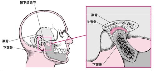 ^ᘾίY(ji)ô